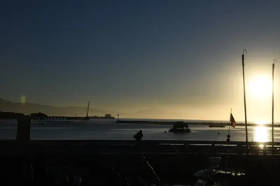 DSC_6553 (Large).JPG